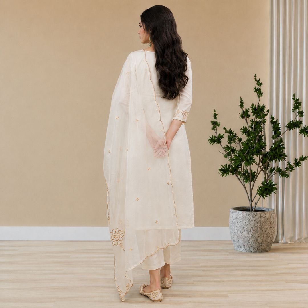 PAKIZA – Ivory Organza Suit Set view 4